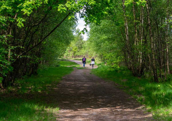 Walking in the countryside