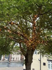 New Lights on the Fountain in Boroughbridge.
